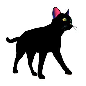 Animation of cartoon black cat walking