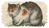 Medieval illustration of a calico cat